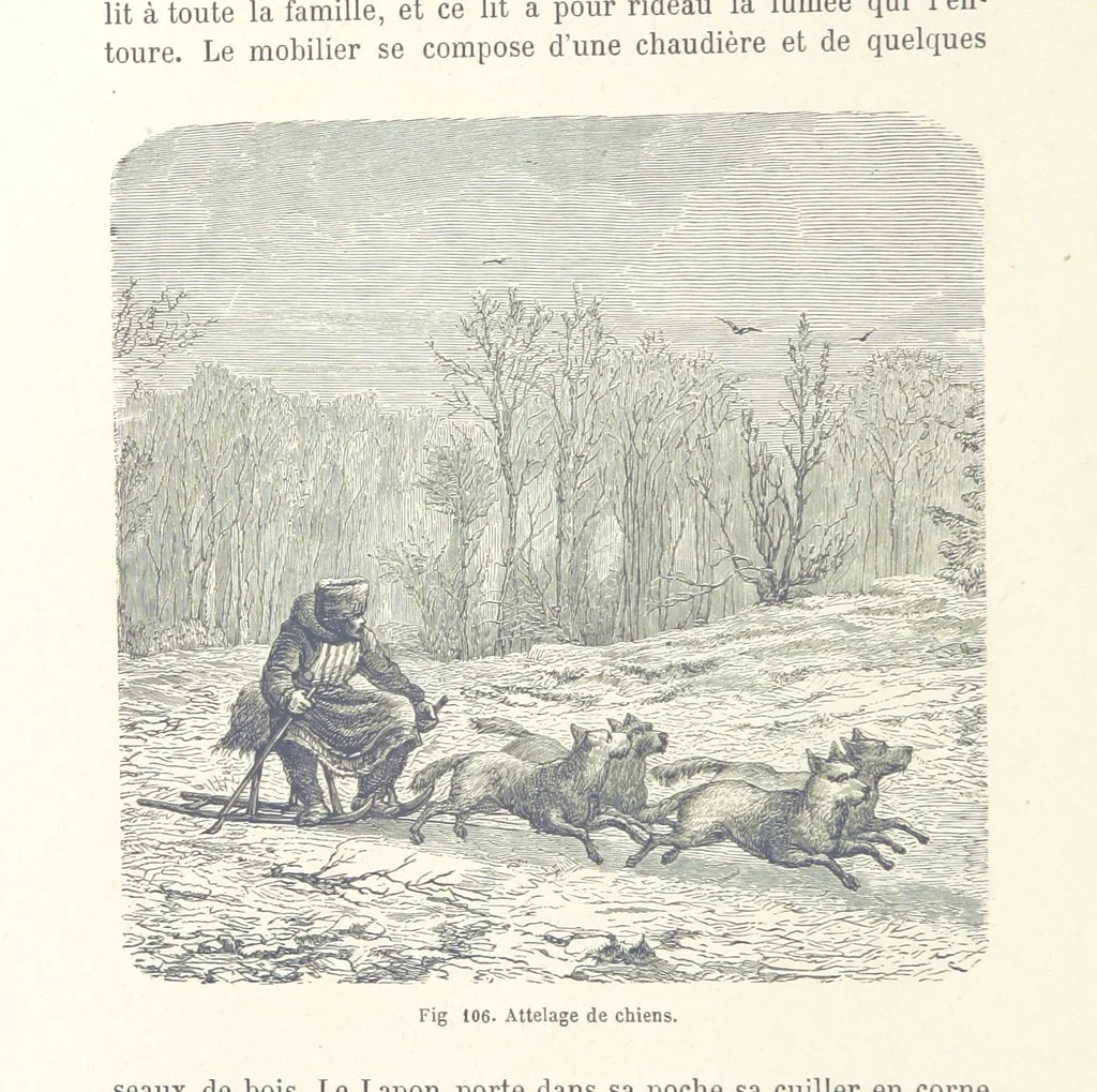 An illustration from Les Races Humaines ... Ouvrage illustré de 334 gravures dessinées sur bois, et de 8 chromo-lithographies, etc, 1872, leaf 246