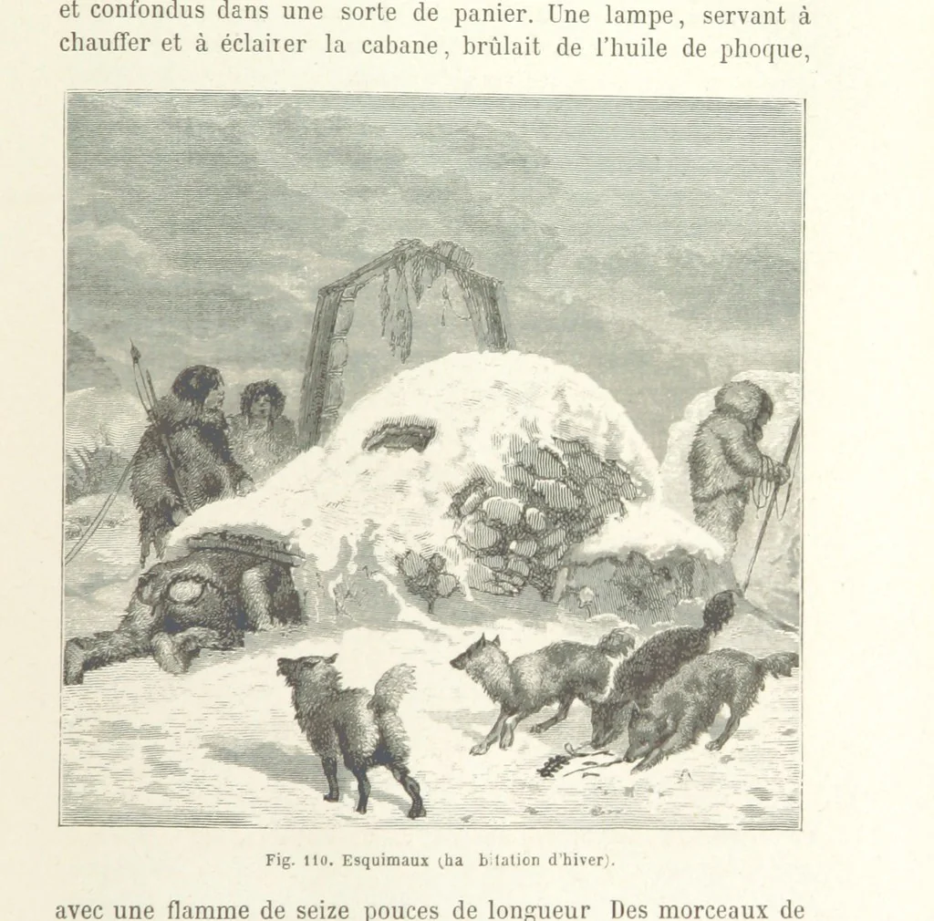 An illustration from Les Races Humaines ... Ouvrage illustré de 334 gravures dessinées sur bois, et de 8 chromo-lithographies, etc, 1872, leaf 251