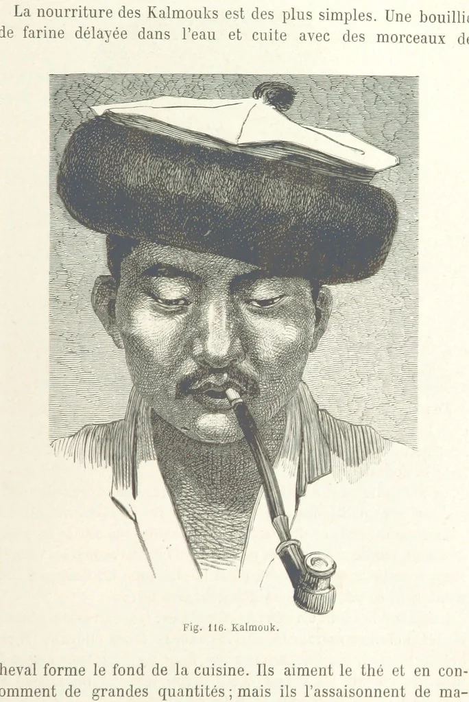 An illustration from Les Races Humaines ... Ouvrage illustré de 334 gravures dessinées sur bois, et de 8 chromo-lithographies, etc, 1872, leaf 259
