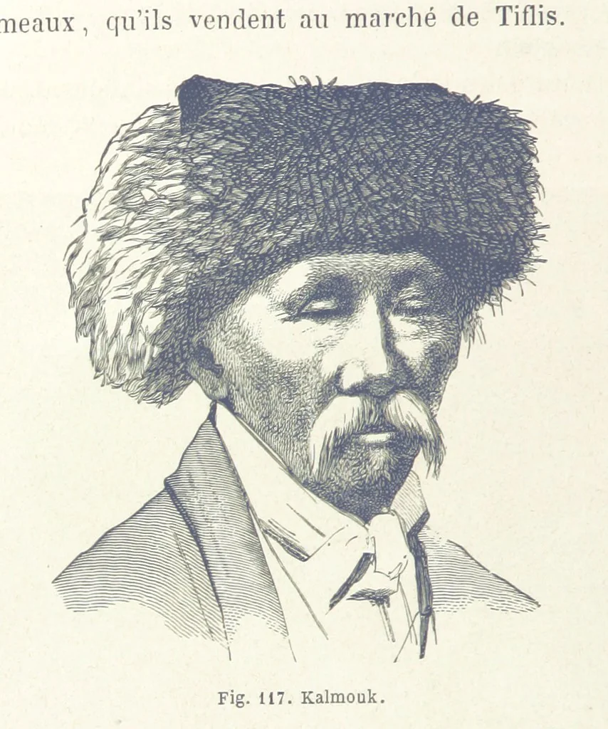 An illustration from Les Races Humaines ... Ouvrage illustré de 334 gravures dessinées sur bois, et de 8 chromo-lithographies, etc, 1872, leaf 260