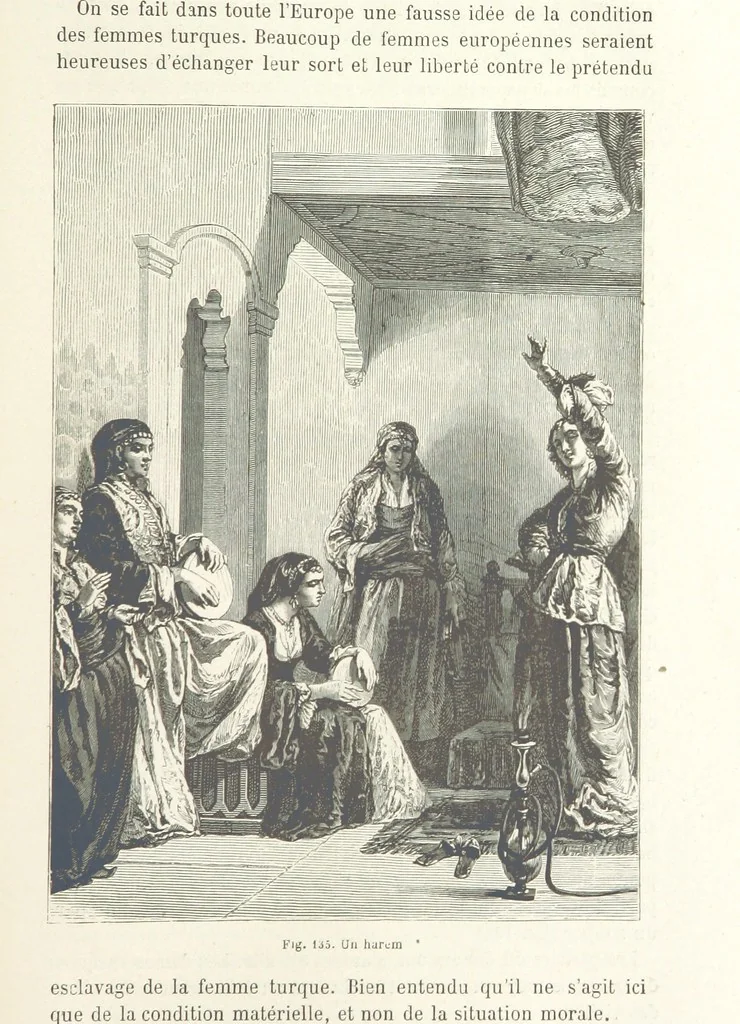 An illustration from Les Races Humaines ... Ouvrage illustré de 334 gravures dessinées sur bois, et de 8 chromo-lithographies, etc, 1872, leaf 289