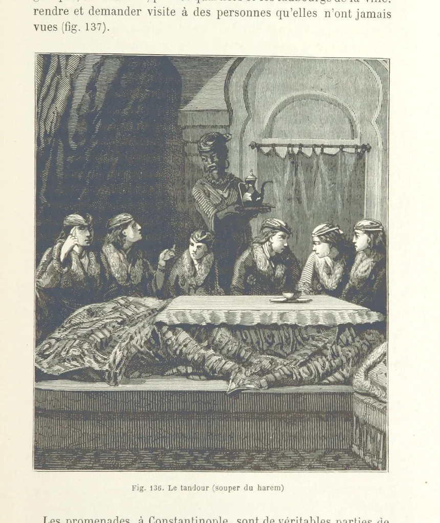 An illustration from Les Races Humaines ... Ouvrage illustré de 334 gravures dessinées sur bois, et de 8 chromo-lithographies, etc, 1872, leaf 291