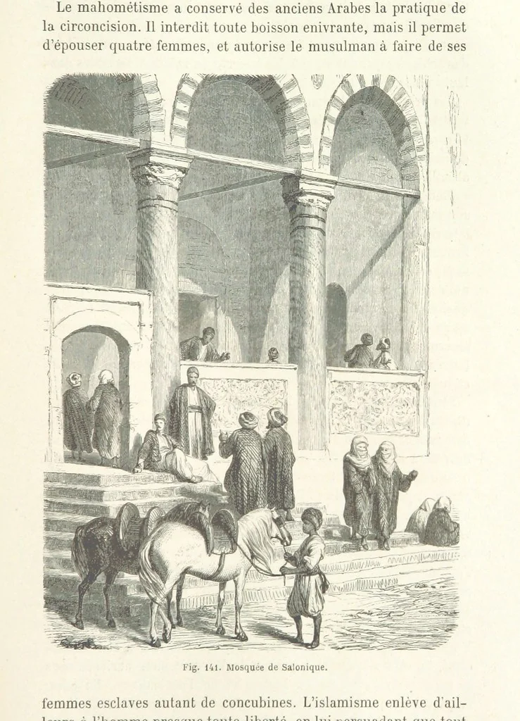An illustration from Les Races Humaines ... Ouvrage illustré de 334 gravures dessinées sur bois, et de 8 chromo-lithographies, etc, 1872, leaf 301
