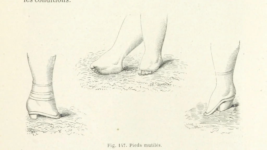 An illustration from Les Races Humaines ... Ouvrage illustré de 334 gravures dessinées sur bois, et de 8 chromo-lithographies, etc, 1872, leaf 313