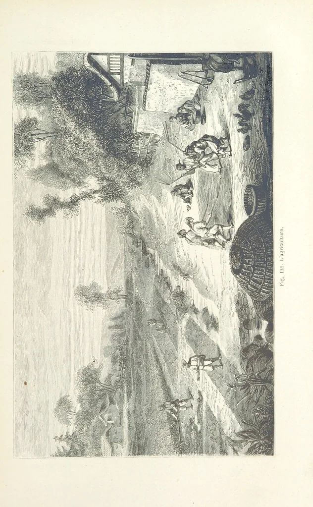 An illustration from Les Races Humaines ... Ouvrage illustré de 334 gravures dessinées sur bois, et de 8 chromo-lithographies, etc, 1872, leaf 321