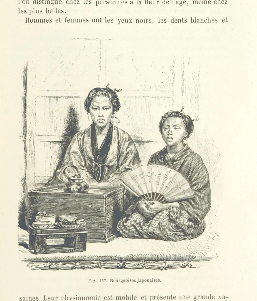 An illustration from Les Races Humaines ... Ouvrage illustré de 334 gravures dessinées sur bois, et de 8 chromo-lithographies, etc, 1872, leaf 353