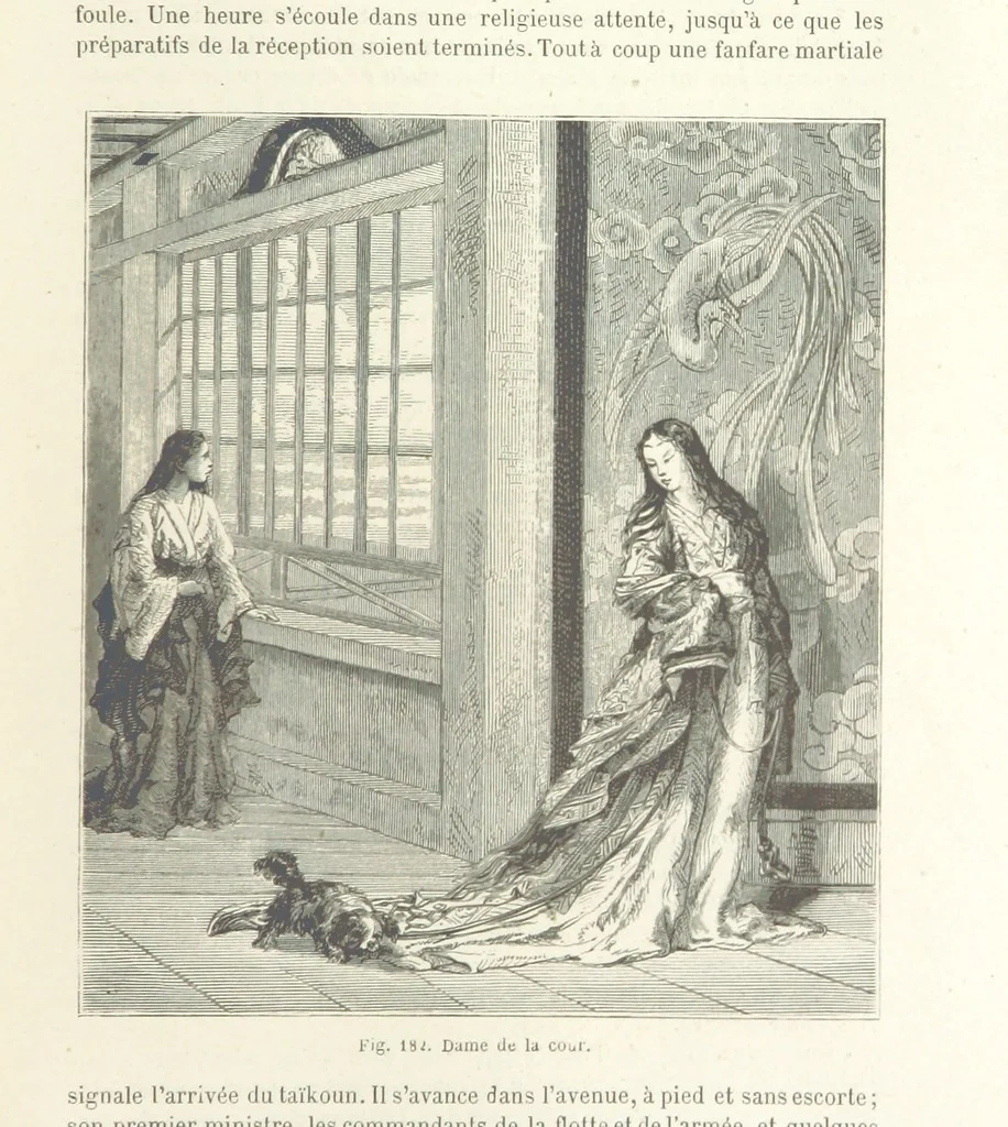 An illustration from Les Races Humaines ... Ouvrage illustré de 334 gravures dessinées sur bois, et de 8 chromo-lithographies, etc, 1872, leaf 371