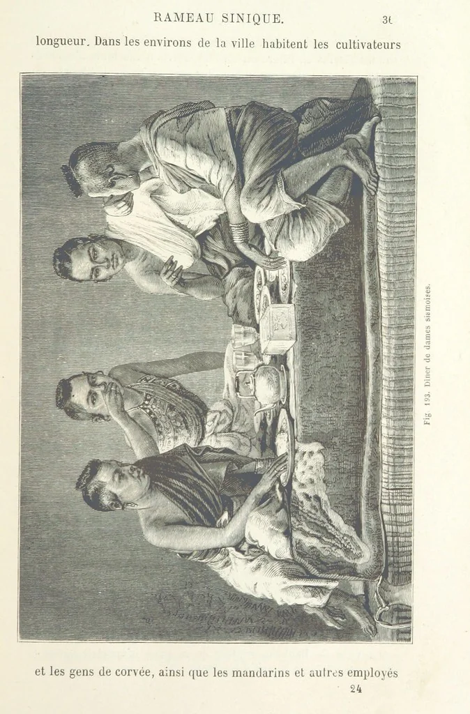 An illustration from Les Races Humaines ... Ouvrage illustré de 334 gravures dessinées sur bois, et de 8 chromo-lithographies, etc, 1872, leaf 387