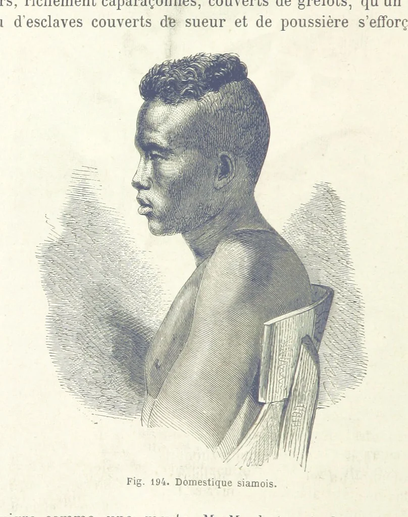 An illustration from Les Races Humaines ... Ouvrage illustré de 334 gravures dessinées sur bois, et de 8 chromo-lithographies, etc, 1872, leaf 388