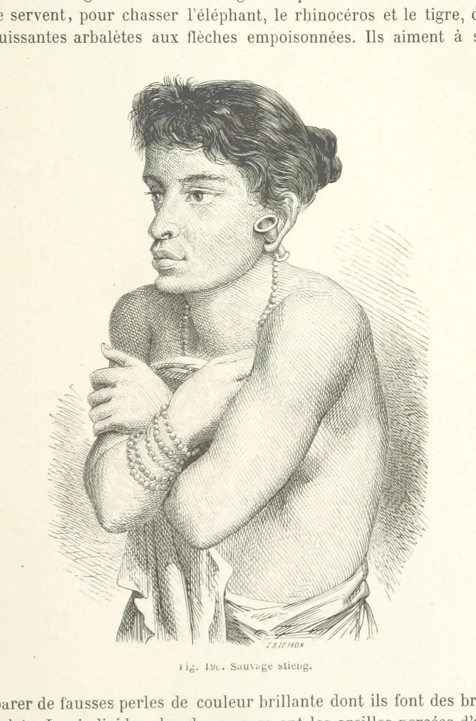 An illustration from Les Races Humaines ... Ouvrage illustré de 334 gravures dessinées sur bois, et de 8 chromo-lithographies, etc, 1872, leaf 391