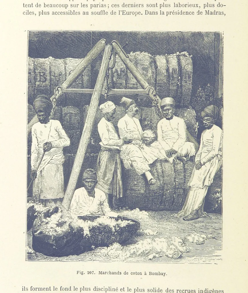 An illustration from Les Races Humaines ... Ouvrage illustré de 334 gravures dessinées sur bois, et de 8 chromo-lithographies, etc, 1872, leaf 412