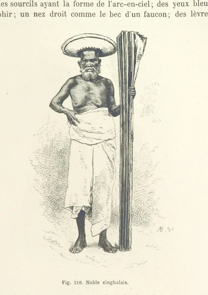 An illustration from Les Races Humaines ... Ouvrage illustré de 334 gravures dessinées sur bois, et de 8 chromo-lithographies, etc, 1872, leaf 415