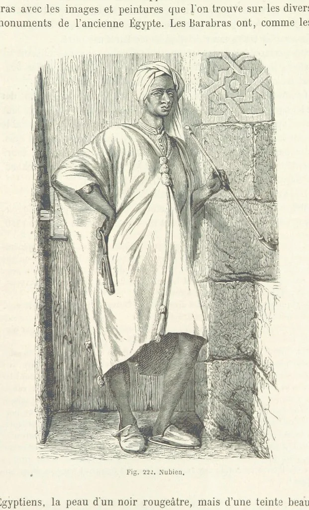 An illustration from Les Races Humaines ... Ouvrage illustré de 334 gravures dessinées sur bois, et de 8 chromo-lithographies, etc, 1872, leaf 431