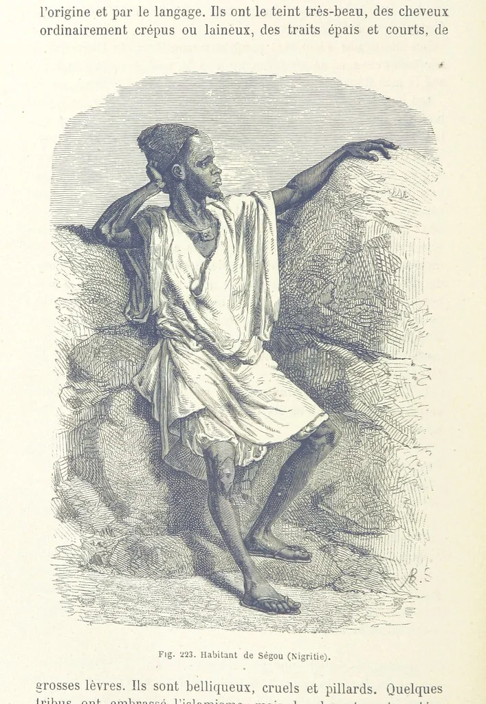 An illustration from Les Races Humaines ... Ouvrage illustré de 334 gravures dessinées sur bois, et de 8 chromo-lithographies, etc, 1872, leaf 434