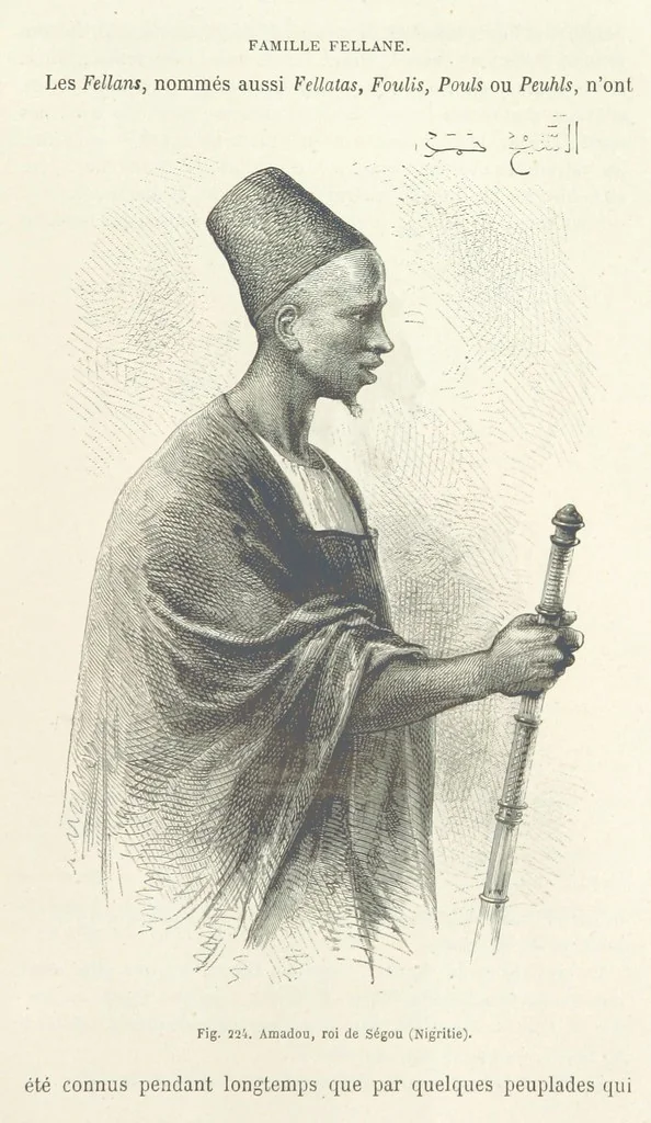 An illustration from Les Races Humaines ... Ouvrage illustré de 334 gravures dessinées sur bois, et de 8 chromo-lithographies, etc, 1872, leaf 435