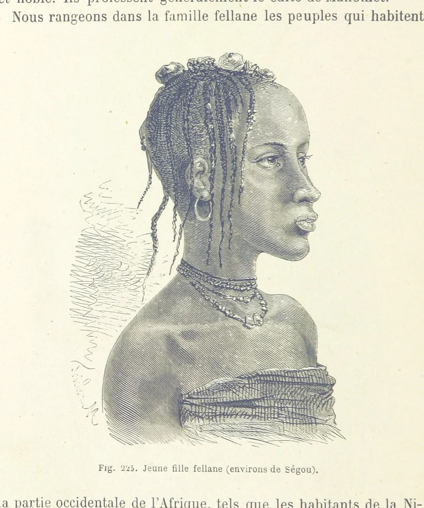 An illustration from Les Races Humaines ... Ouvrage illustré de 334 gravures dessinées sur bois, et de 8 chromo-lithographies, etc, 1872, leaf 436