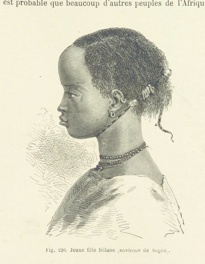 An illustration from Les Races Humaines ... Ouvrage illustré de 334 gravures dessinées sur bois, et de 8 chromo-lithographies, etc, 1872, leaf 437