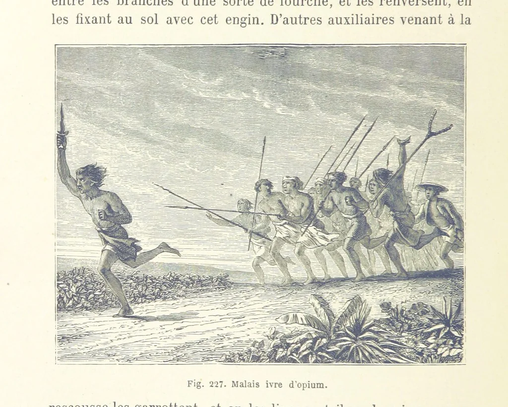 An illustration from Les Races Humaines ... Ouvrage illustré de 334 gravures dessinées sur bois, et de 8 chromo-lithographies, etc, 1872, leaf 442