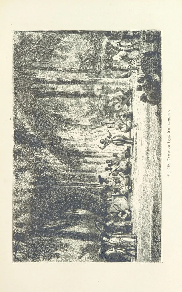 An illustration from Les Races Humaines ... Ouvrage illustré de 334 gravures dessinées sur bois, et de 8 chromo-lithographies, etc, 1872, leaf 445