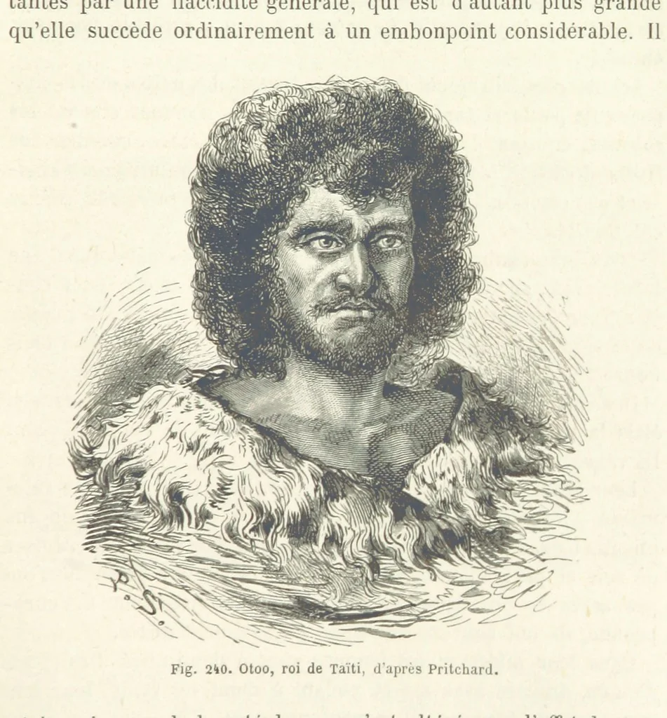 An illustration from Les Races Humaines ... Ouvrage illustré de 334 gravures dessinées sur bois, et de 8 chromo-lithographies, etc, 1872, leaf 473