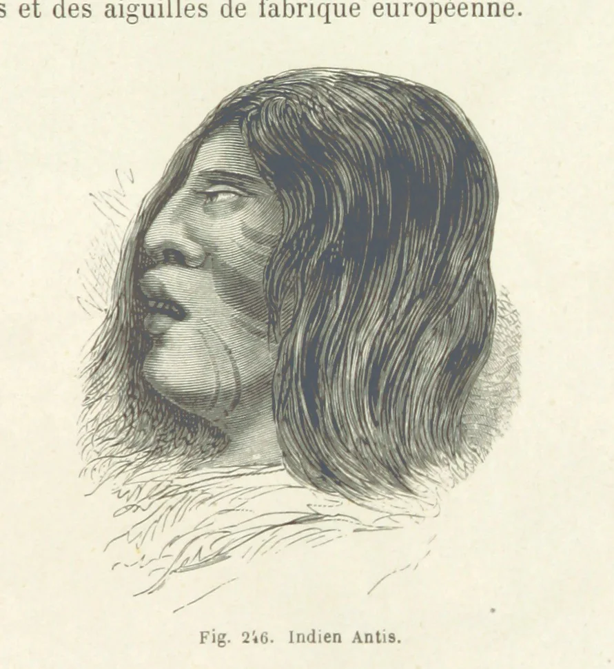 An illustration from Les Races Humaines ... Ouvrage illustré de 334 gravures dessinées sur bois, et de 8 chromo-lithographies, etc, 1872, leaf 497