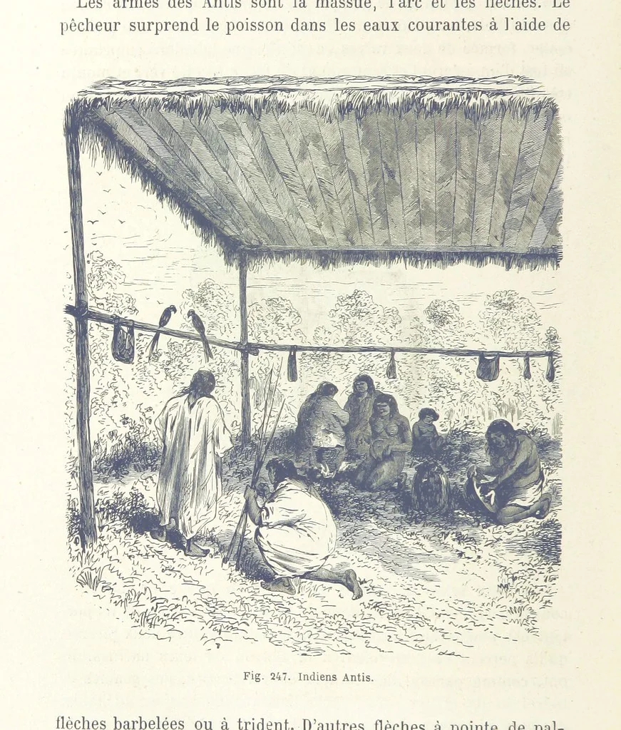 An illustration from Les Races Humaines ... Ouvrage illustré de 334 gravures dessinées sur bois, et de 8 chromo-lithographies, etc, 1872, leaf 498