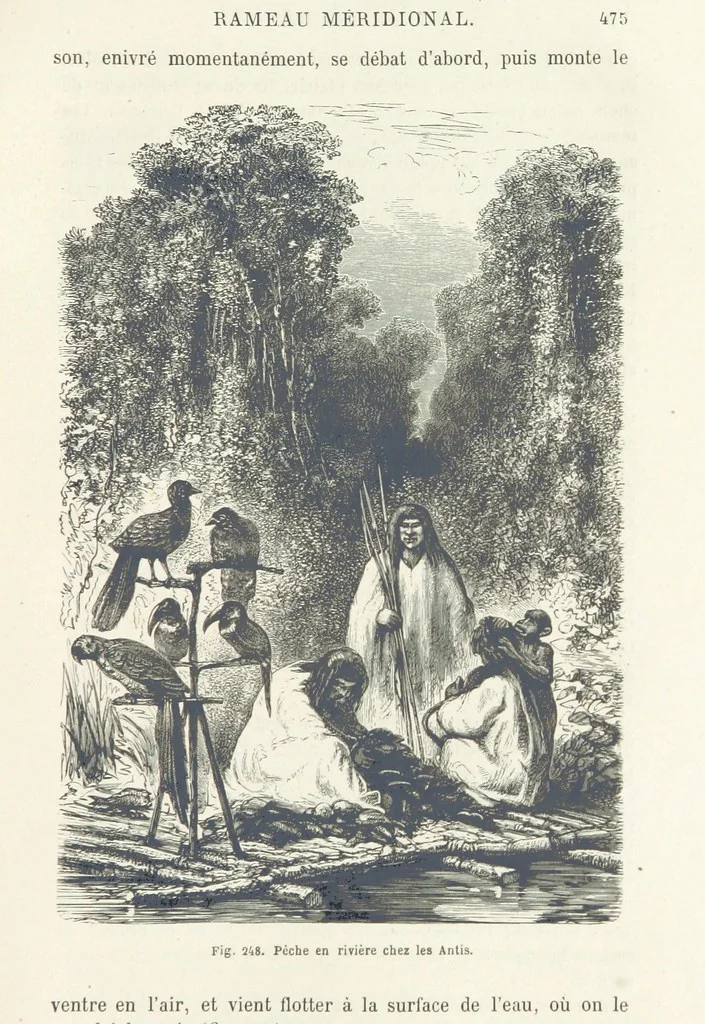 An illustration from Les Races Humaines ... Ouvrage illustré de 334 gravures dessinées sur bois, et de 8 chromo-lithographies, etc, 1872, leaf 499