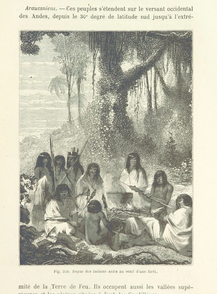 An illustration from Les Races Humaines ... Ouvrage illustré de 334 gravures dessinées sur bois, et de 8 chromo-lithographies, etc, 1872, leaf 501