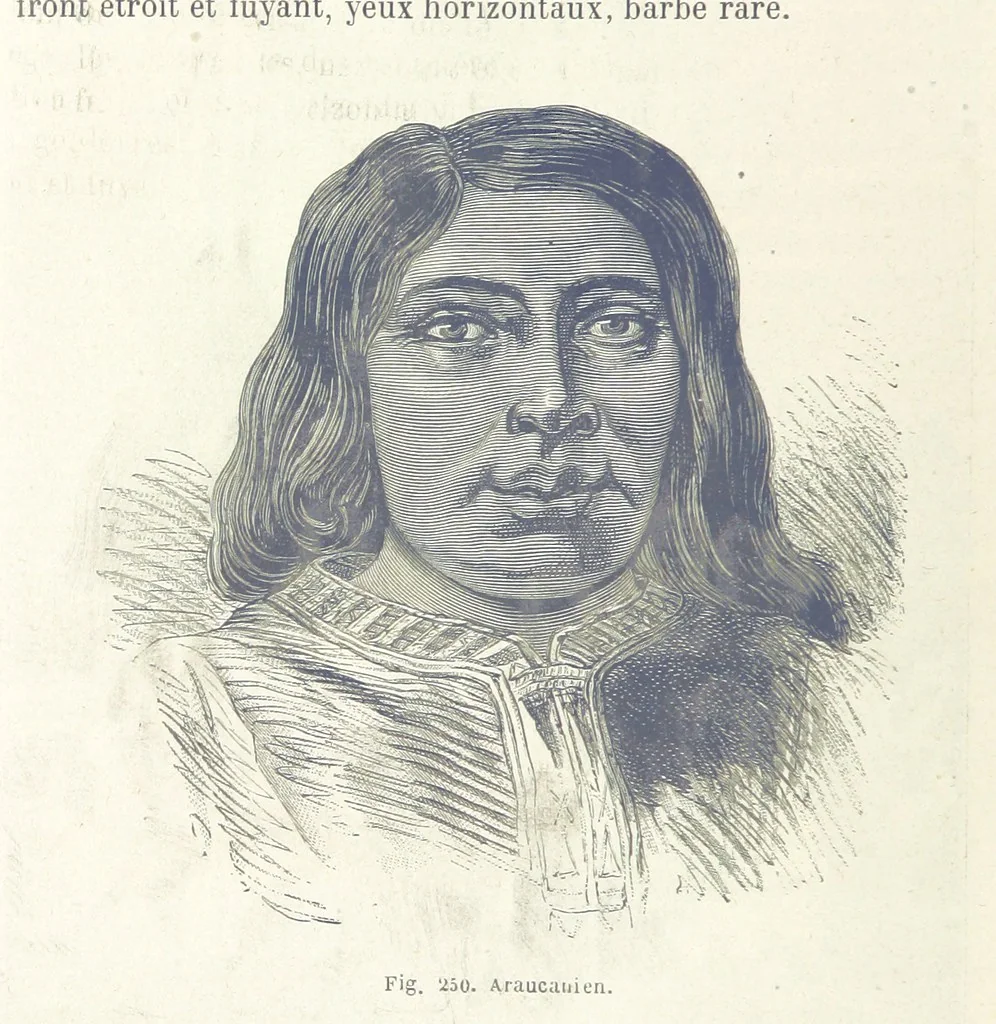 An illustration from Les Races Humaines ... Ouvrage illustré de 334 gravures dessinées sur bois, et de 8 chromo-lithographies, etc, 1872, leaf 502