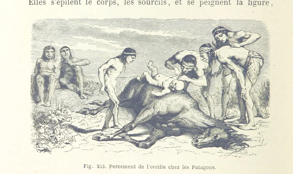 An illustration from Les Races Humaines ... Ouvrage illustré de 334 gravures dessinées sur bois, et de 8 chromo-lithographies, etc, 1872, leaf 508