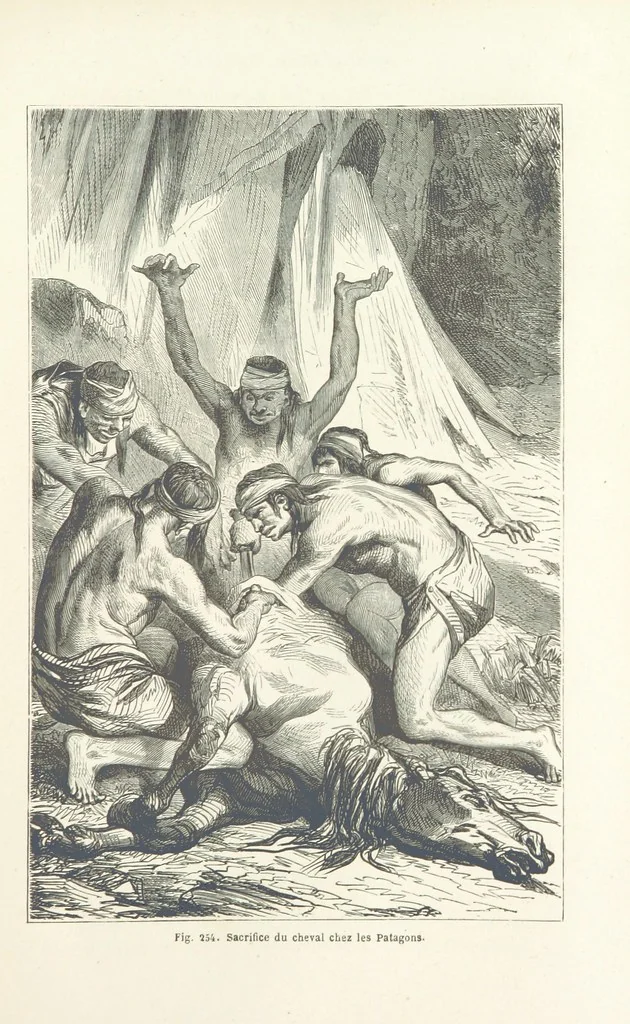 An illustration from Les Races Humaines ... Ouvrage illustré de 334 gravures dessinées sur bois, et de 8 chromo-lithographies, etc, 1872, leaf 509
