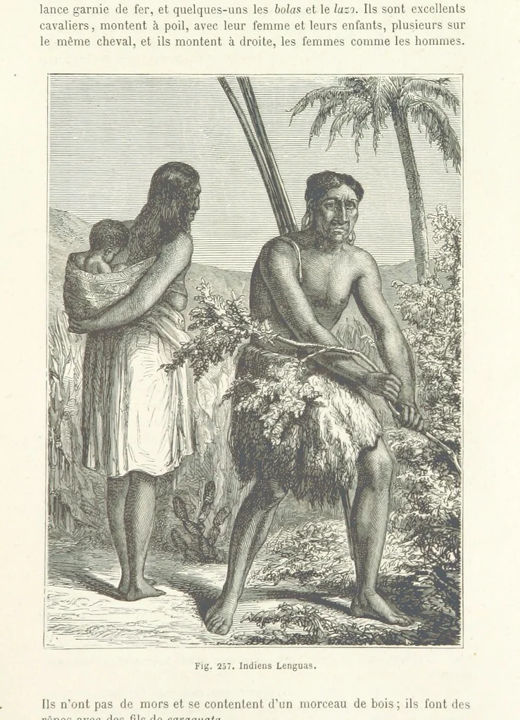 An illustration from Les Races Humaines ... Ouvrage illustré de 334 gravures dessinées sur bois, et de 8 chromo-lithographies, etc, 1872, leaf 515