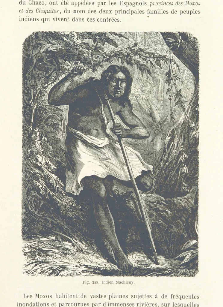 An illustration from Les Races Humaines ... Ouvrage illustré de 334 gravures dessinées sur bois, et de 8 chromo-lithographies, etc, 1872, leaf 519