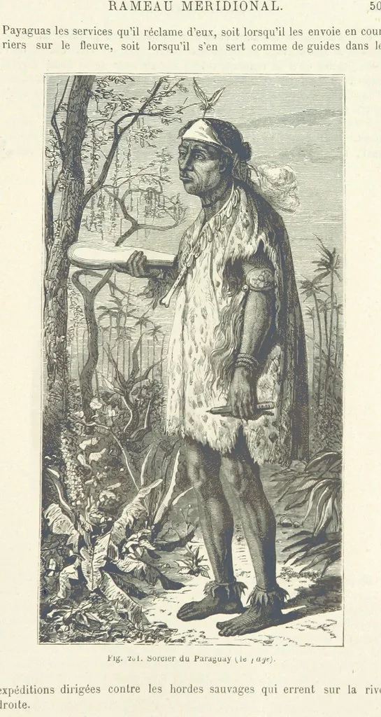 An illustration from Les Races Humaines ... Ouvrage illustré de 334 gravures dessinées sur bois, et de 8 chromo-lithographies, etc, 1872, leaf 527
