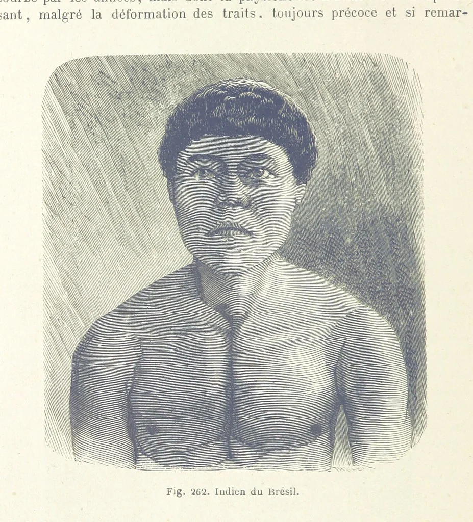 An illustration from Les Races Humaines ... Ouvrage illustré de 334 gravures dessinées sur bois, et de 8 chromo-lithographies, etc, 1872, leaf 528