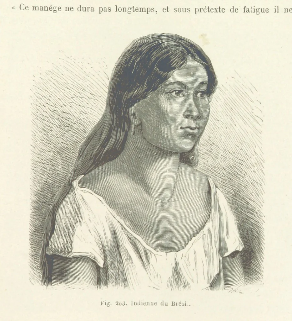 An illustration from Les Races Humaines ... Ouvrage illustré de 334 gravures dessinées sur bois, et de 8 chromo-lithographies, etc, 1872, leaf 529