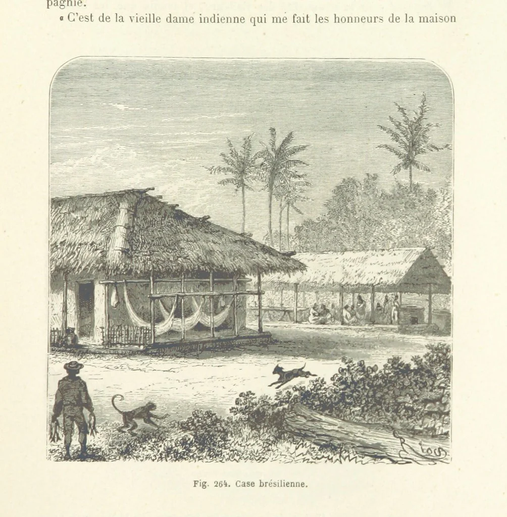 An illustration from Les Races Humaines ... Ouvrage illustré de 334 gravures dessinées sur bois, et de 8 chromo-lithographies, etc, 1872, leaf 531