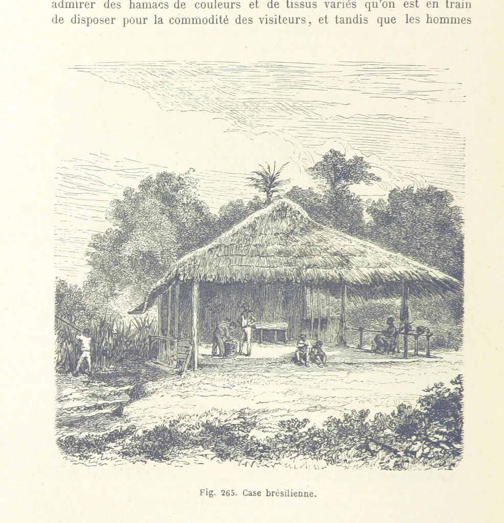 An illustration from Les Races Humaines ... Ouvrage illustré de 334 gravures dessinées sur bois, et de 8 chromo-lithographies, etc, 1872, leaf 532