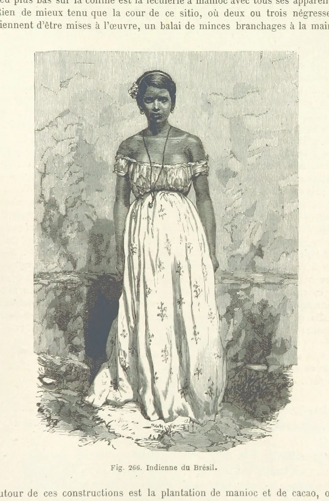 An illustration from Les Races Humaines ... Ouvrage illustré de 334 gravures dessinées sur bois, et de 8 chromo-lithographies, etc, 1872, leaf 533