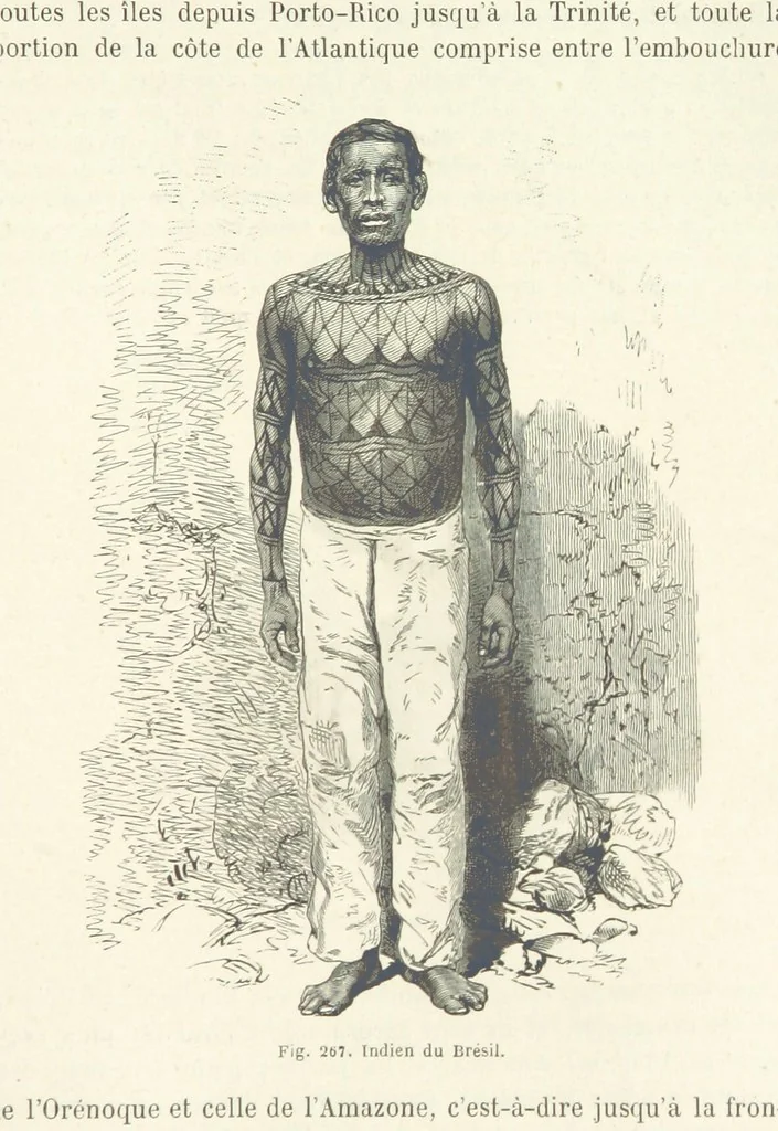 An illustration from Les Races Humaines ... Ouvrage illustré de 334 gravures dessinées sur bois, et de 8 chromo-lithographies, etc, 1872, leaf 535