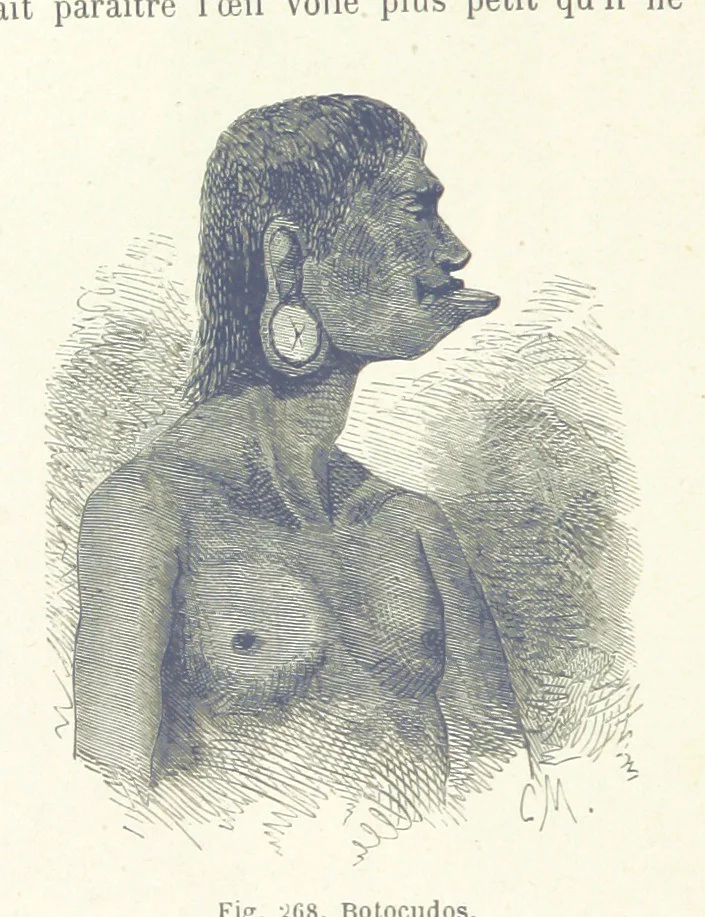 An illustration from Les Races Humaines ... Ouvrage illustré de 334 gravures dessinées sur bois, et de 8 chromo-lithographies, etc, 1872, leaf 536