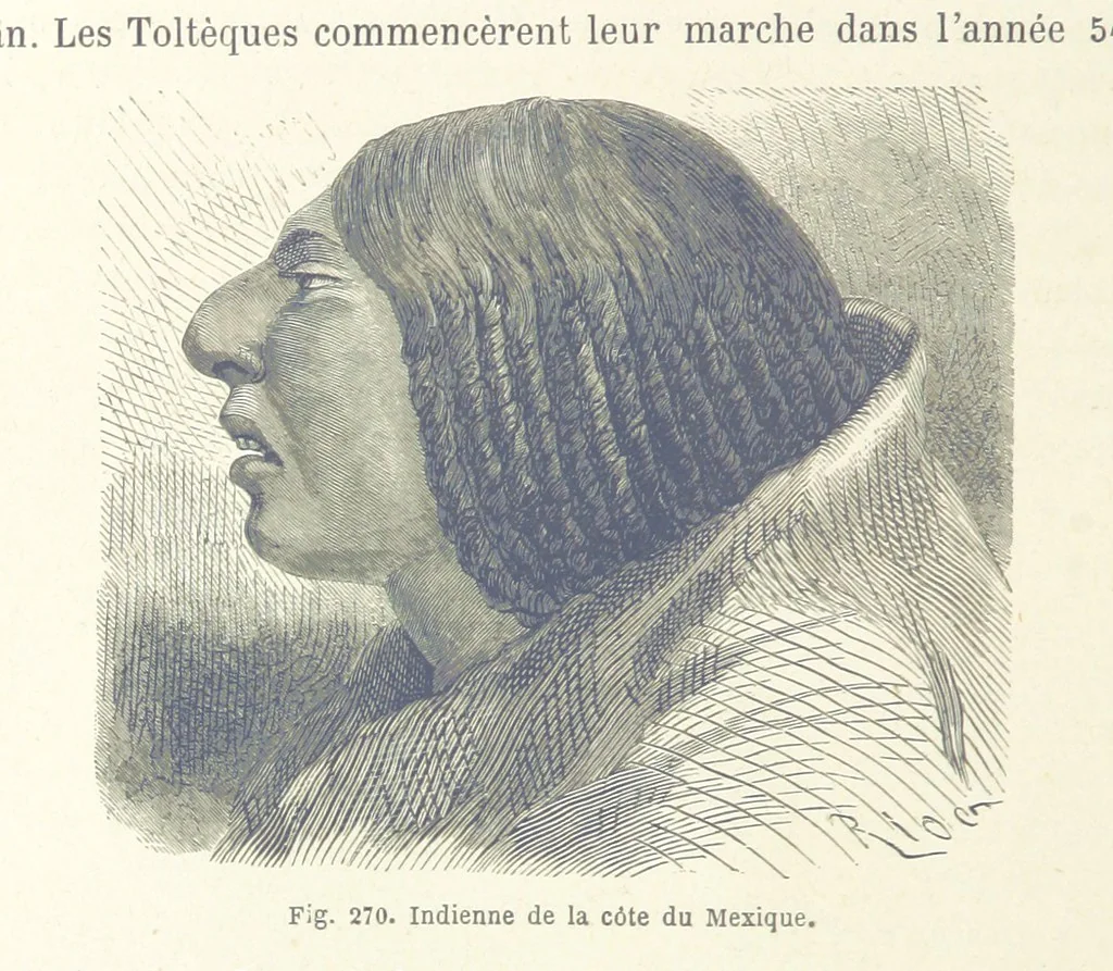An illustration from Les Races Humaines ... Ouvrage illustré de 334 gravures dessinées sur bois, et de 8 chromo-lithographies, etc, 1872, leaf 540