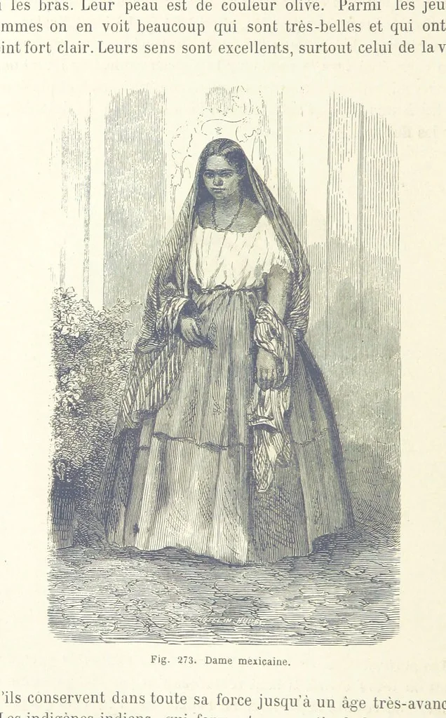 An illustration from Les Races Humaines ... Ouvrage illustré de 334 gravures dessinées sur bois, et de 8 chromo-lithographies, etc, 1872, leaf 542