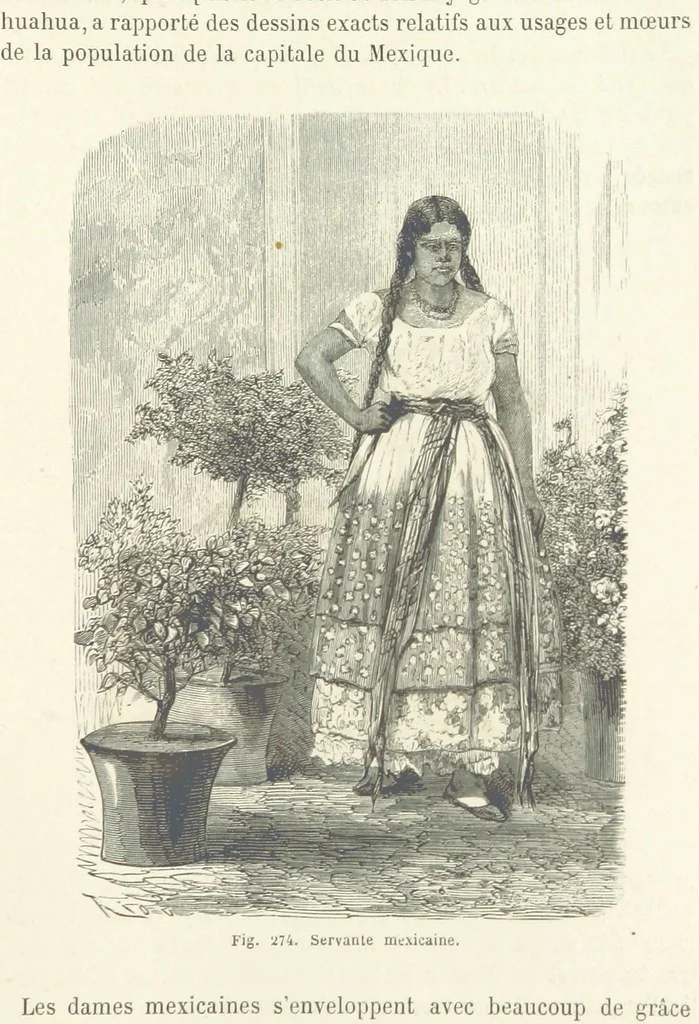 An illustration from Les Races Humaines ... Ouvrage illustré de 334 gravures dessinées sur bois, et de 8 chromo-lithographies, etc, 1872, leaf 543