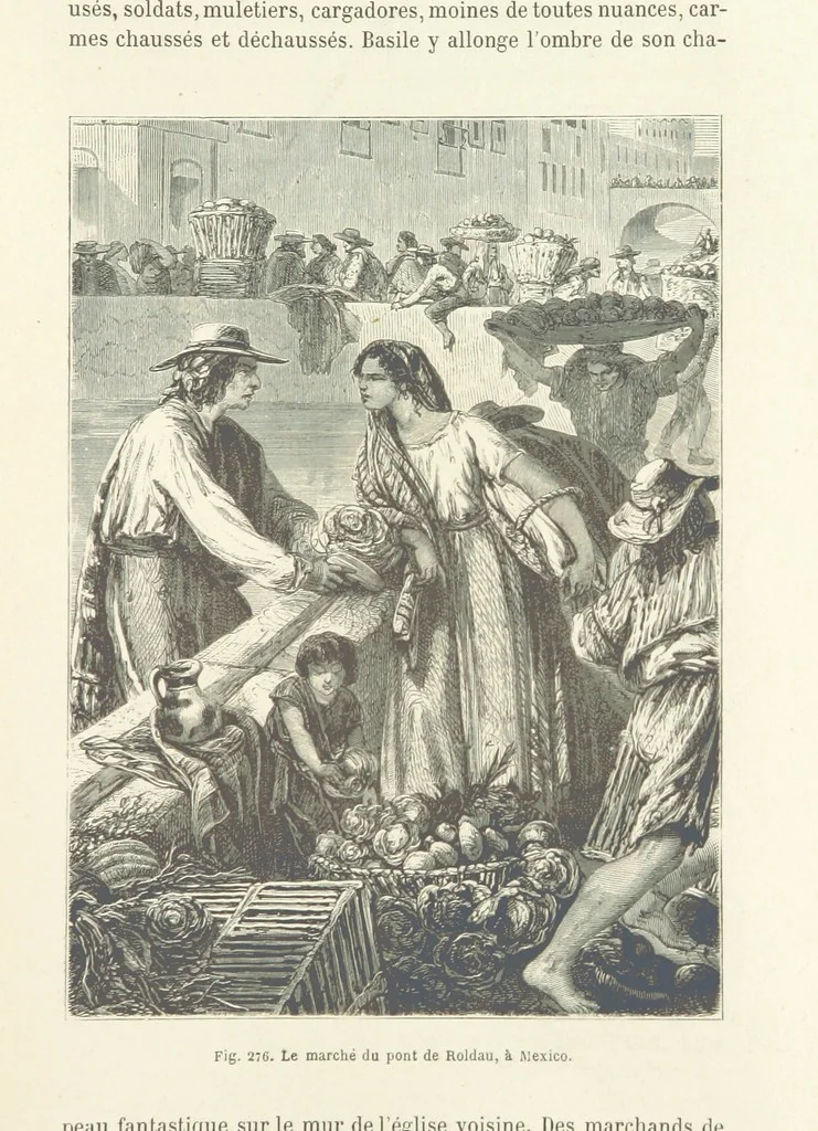 An illustration from Les Races Humaines ... Ouvrage illustré de 334 gravures dessinées sur bois, et de 8 chromo-lithographies, etc, 1872, leaf 545