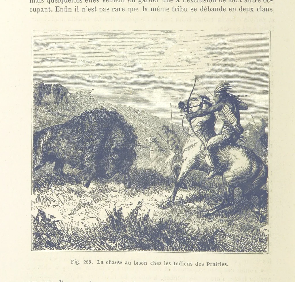 An illustration from Les Races Humaines ... Ouvrage illustré de 334 gravures dessinées sur bois, et de 8 chromo-lithographies, etc, 1872, leaf 566