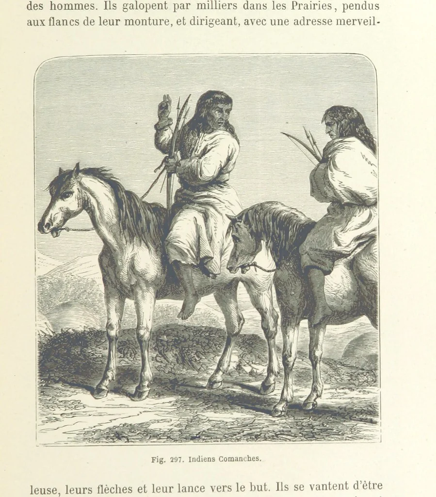 An illustration from Les Races Humaines ... Ouvrage illustré de 334 gravures dessinées sur bois, et de 8 chromo-lithographies, etc, 1872, leaf 581
