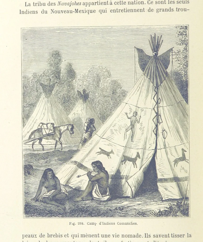 An illustration from Les Races Humaines ... Ouvrage illustré de 334 gravures dessinées sur bois, et de 8 chromo-lithographies, etc, 1872, leaf 582