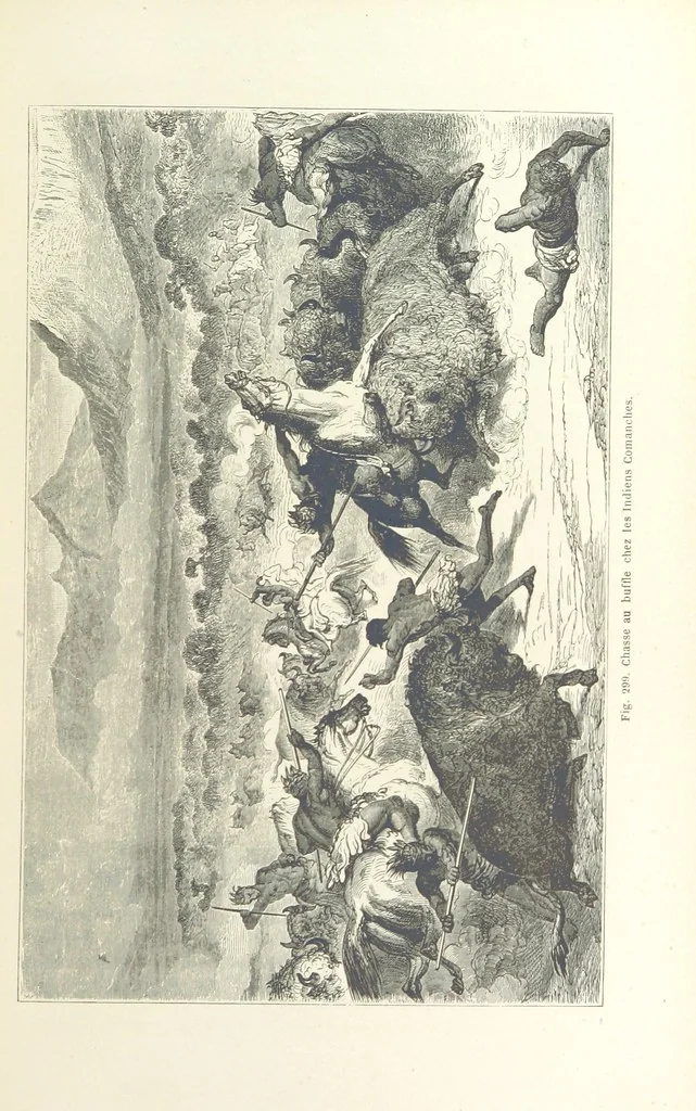 An illustration from Les Races Humaines ... Ouvrage illustré de 334 gravures dessinées sur bois, et de 8 chromo-lithographies, etc, 1872, leaf 583