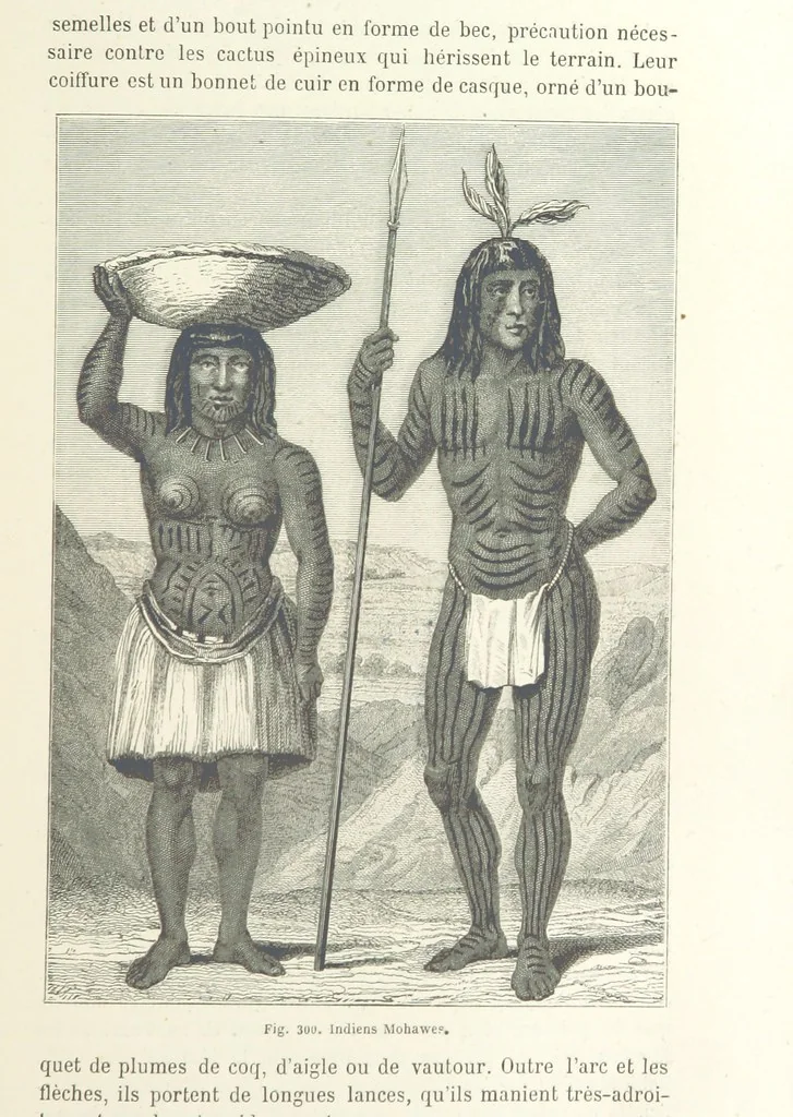 An illustration from Les Races Humaines ... Ouvrage illustré de 334 gravures dessinées sur bois, et de 8 chromo-lithographies, etc, 1872, leaf 585